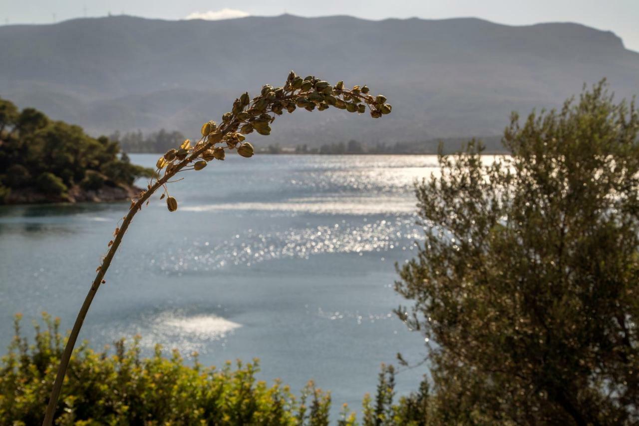Kalavria Luxury Suites - Magnificent Sea View Of Poros Poros Town Exterior foto